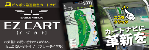 カートナビ